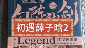 行经斑马线未减速酿事故